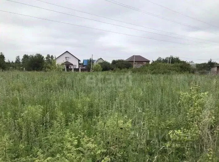 Участок в Липецкая область, Липецк Желтые пески СНТ, 369 (20.0 сот.) - Фото 1