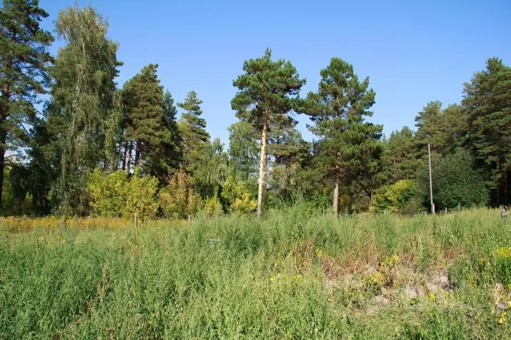 Участок в Алтайский край, Солонешенский район, с. Березово Горная ул. ... - Фото 1