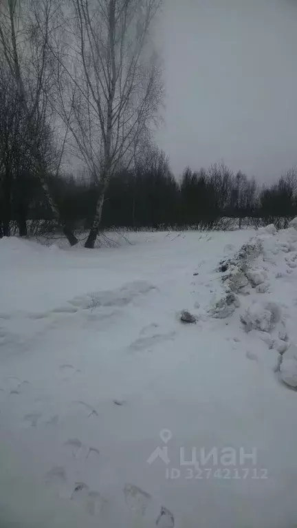 Участок в Московская область, Павловский Посад Афанасовская ул., 62 ... - Фото 2