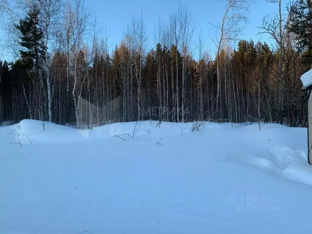 Участок в Тюменская область, Нижнетавдинский район, с. Тюнево ул. ... - Фото 1