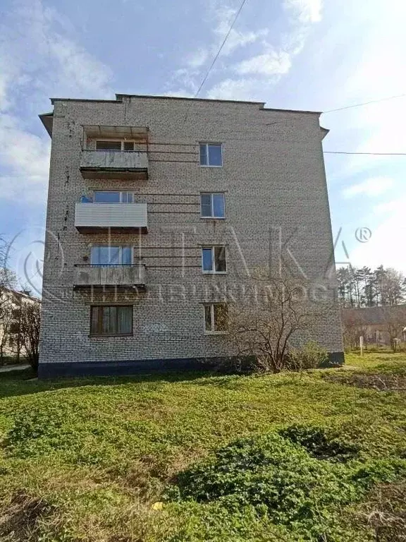 2-к кв. Ленинградская область, Приозерский район, Кузнечное пгт ... - Фото 2