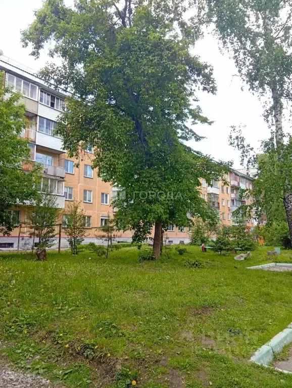 2-к кв. Новосибирская область, Новосибирск ул. Тургенева, 225 (45.0 м) - Фото 0