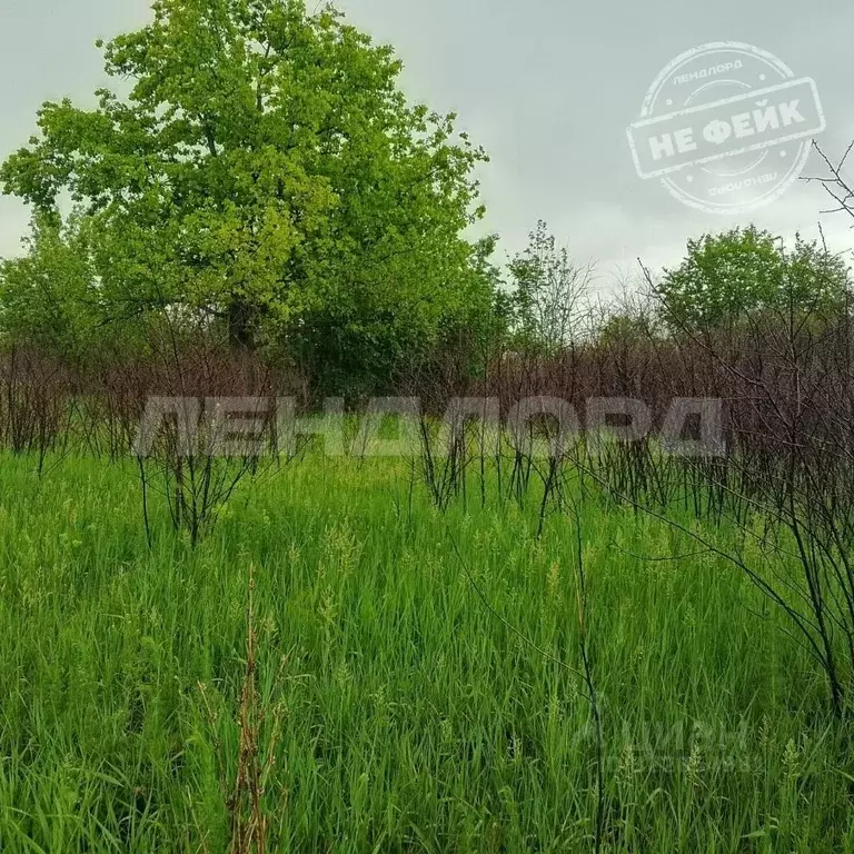 Участок в Ростовская область, Новочеркасск Виноградная Лоза СНТ,  (6.6 ... - Фото 0