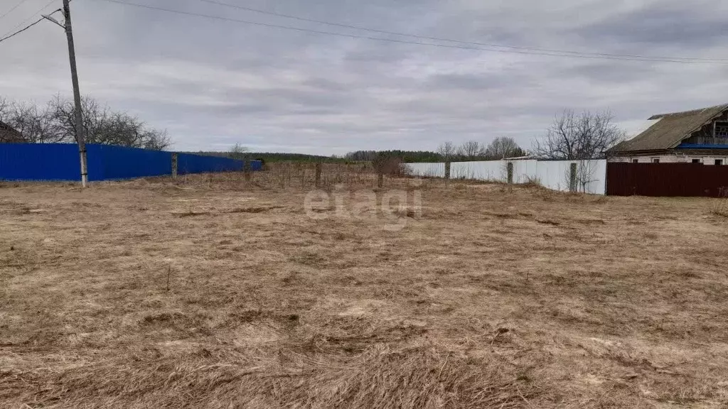 Участок в Владимирская область, Доброград муниципальный округ, д. ... - Фото 1