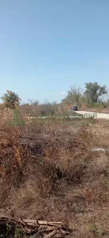 Участок в Саратовская область, Энгельс муниципальное образование, ... - Фото 1