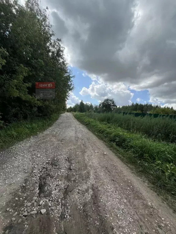 Участок в Рязанская область, Рязанский муниципальный округ, с. ... - Фото 1