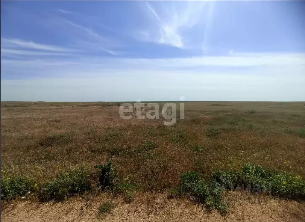 Участок в Крым, Черноморский район, с. Новосельское  (6.0 сот.) - Фото 0