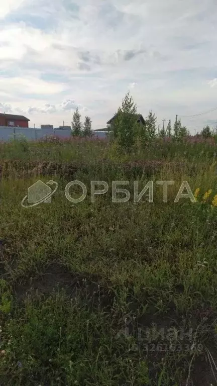 Участок в Тюменская область, Тюменский муниципальный округ, с. Кулига ... - Фото 2