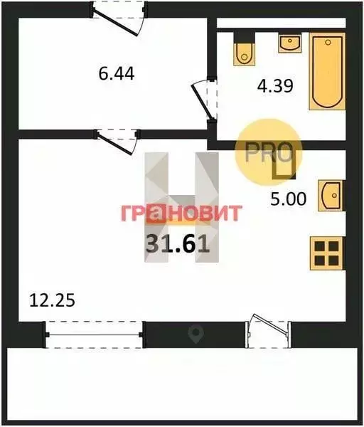 Студия Новосибирская область, Новосибирск ул. Гоголя, 222 (31.61 м) - Фото 1