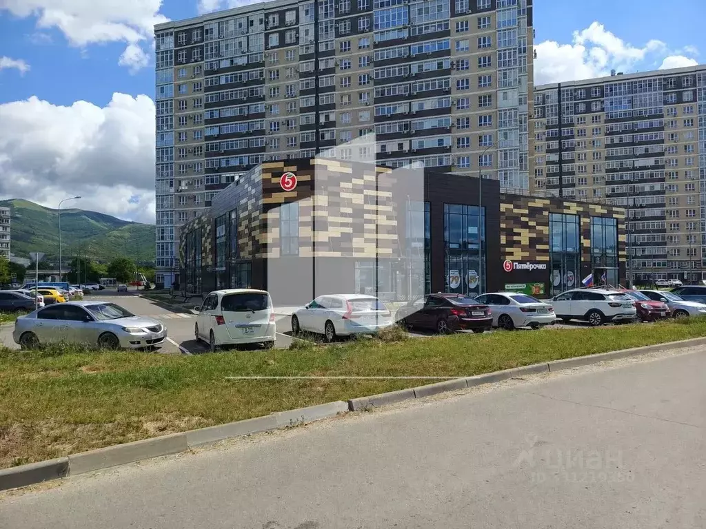 Помещение свободного назначения в Краснодарский край, Новороссийск ... - Фото 1