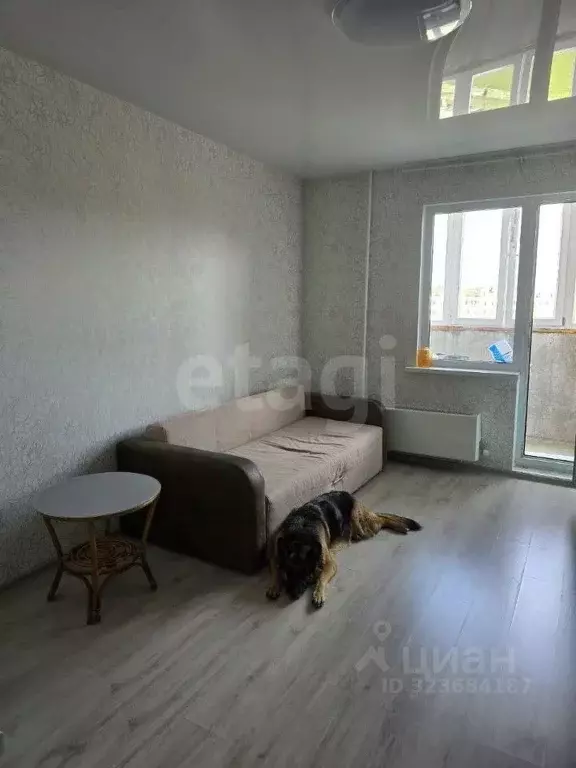 Студия Ханты-Мансийский АО, Сургут ул. Александра Усольцева, 30 (23.5 ... - Фото 1