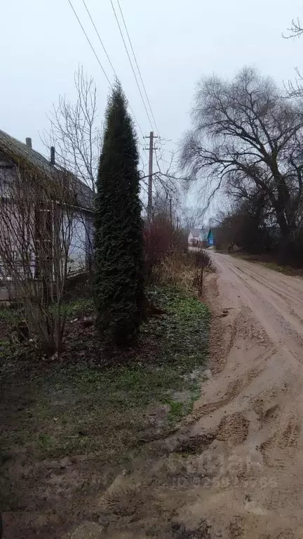 Дом в Псковская область, Псковский район, Ершовская волость, д. ... - Фото 2