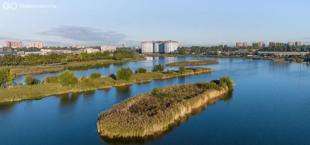 Квартира-студия: Санкт-Петербург, Варфоломеевская улица, 6 (26 м) - Фото 2