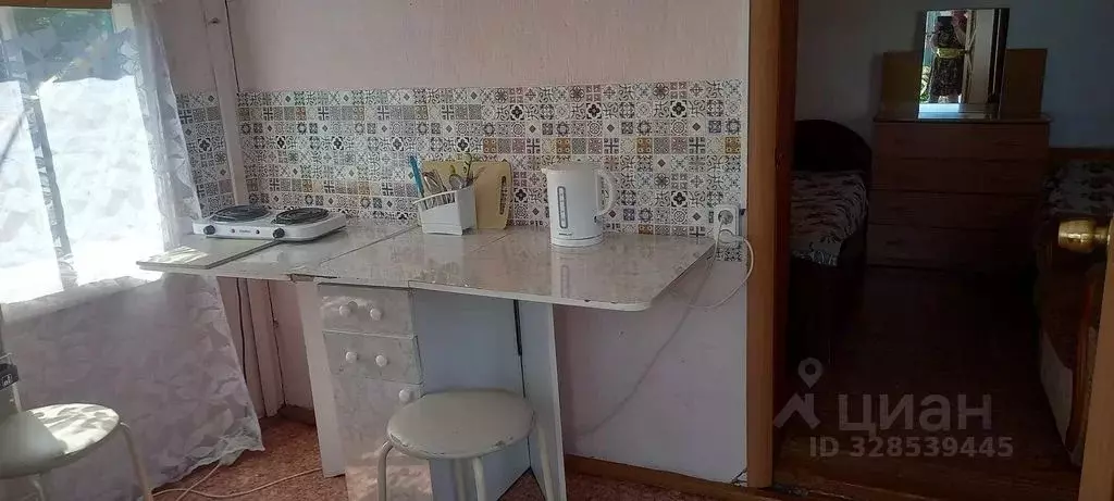 Дом в Хакасия, Ширинский район, пос. Жемчужный, Санаторное ... - Фото 2