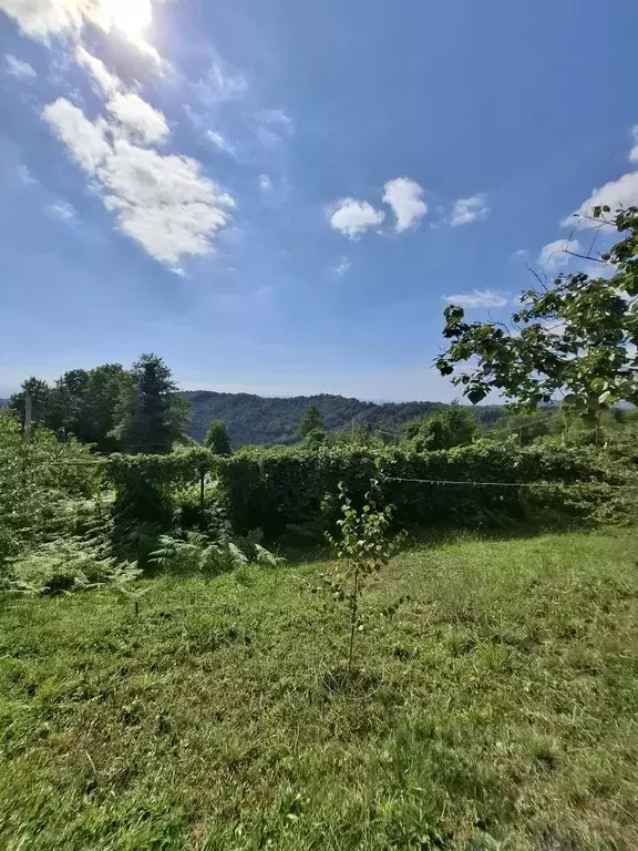 Дом в Краснодарский край, Сочи городской округ, с. Липники  (110 м) - Фото 1