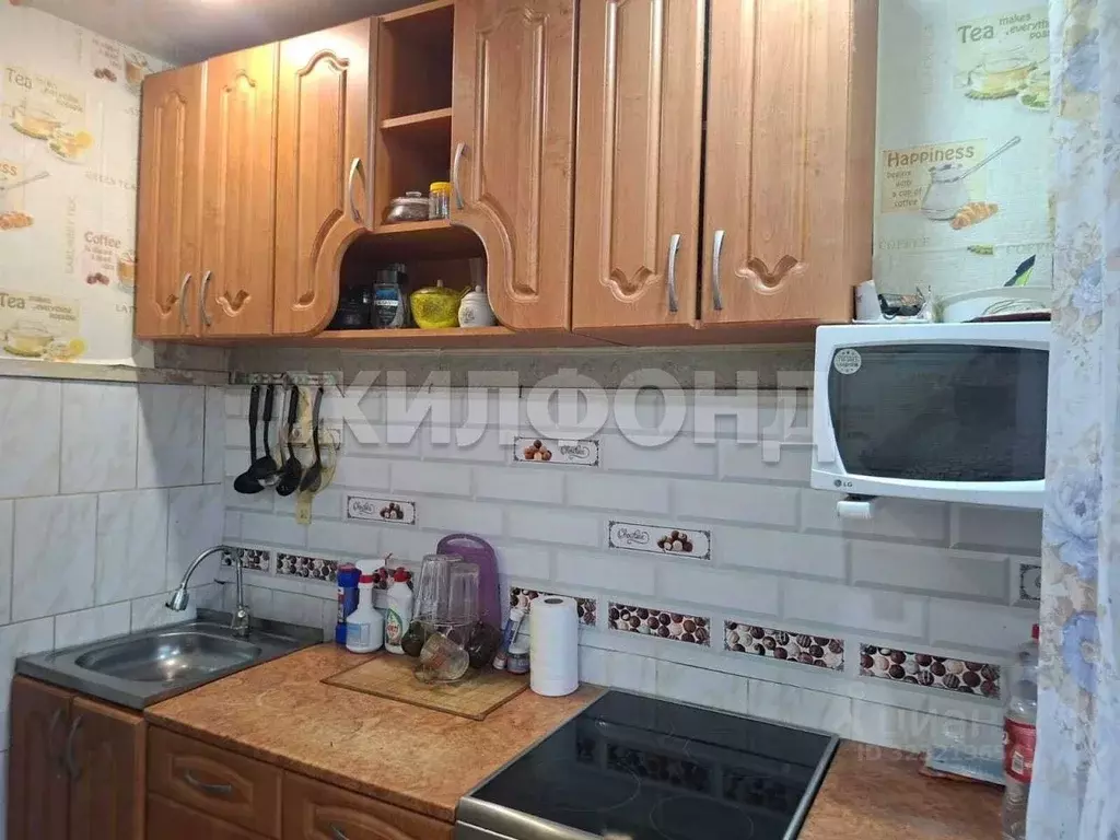 1-к кв. Новосибирская область, Новосибирск Затулинский жилмассив, ул. ... - Фото 1