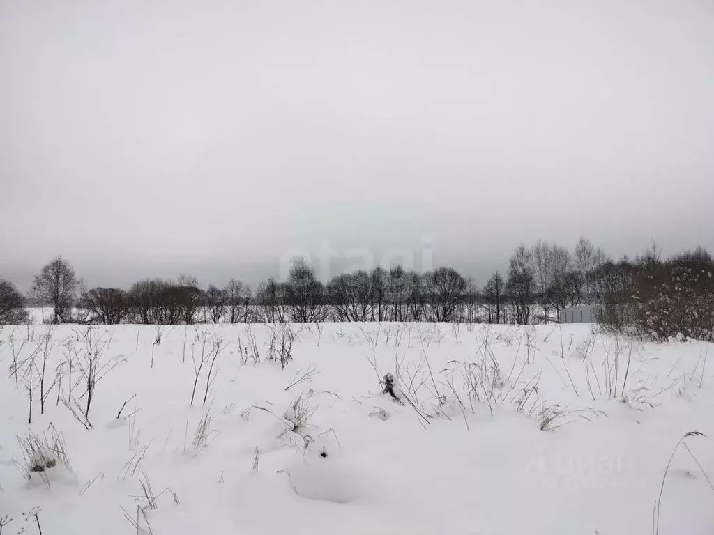 Участок в Смоленская область, Демидовский муниципальный округ, ... - Фото 1