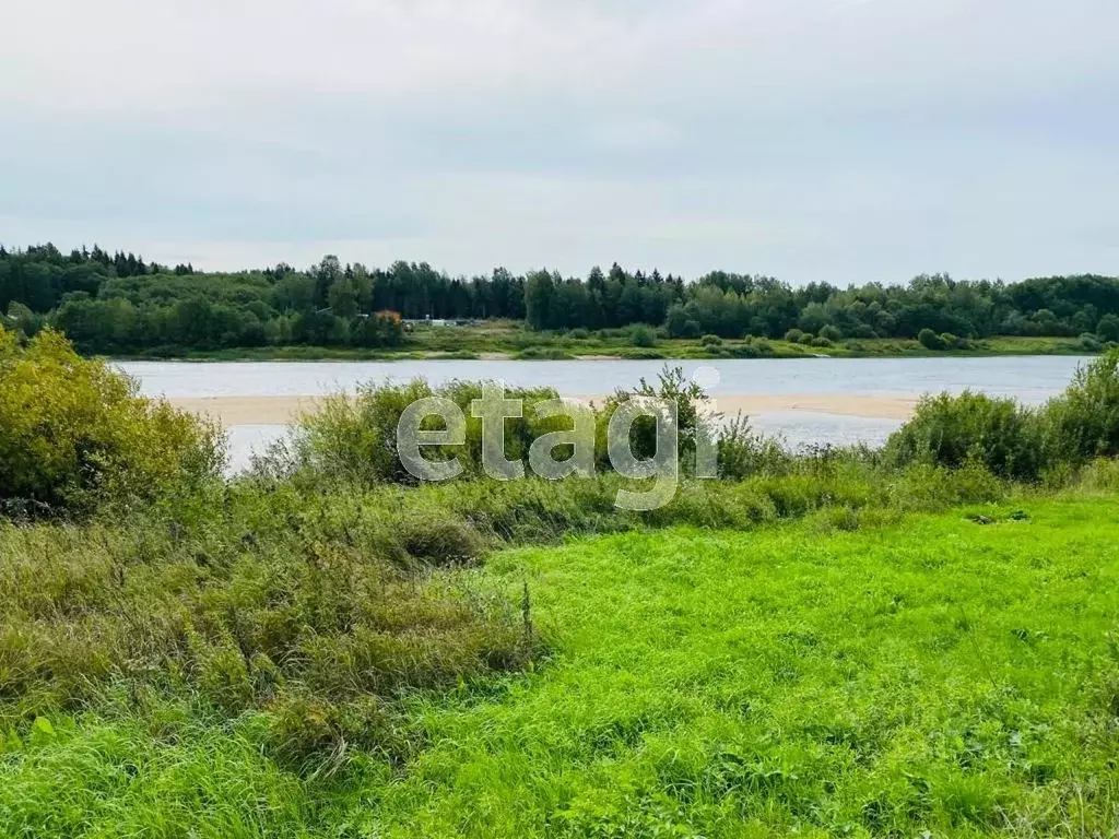 Участок в Вологодская область, Усть-Кубинский муниципальный округ, с. ... - Фото 2