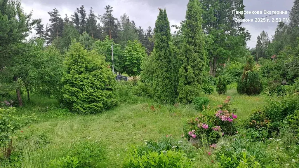 Дом в Ленинградская область, Всеволожский район, Токсовское городское ... - Фото 1