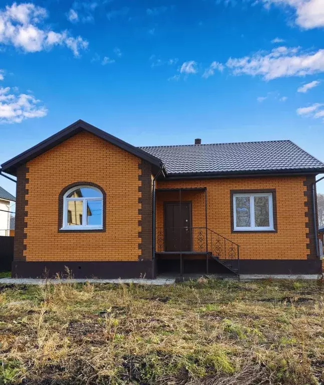 Дом в Омская область, Омский район муниципальный округ, с. Пушкино ул. ... - Фото 2