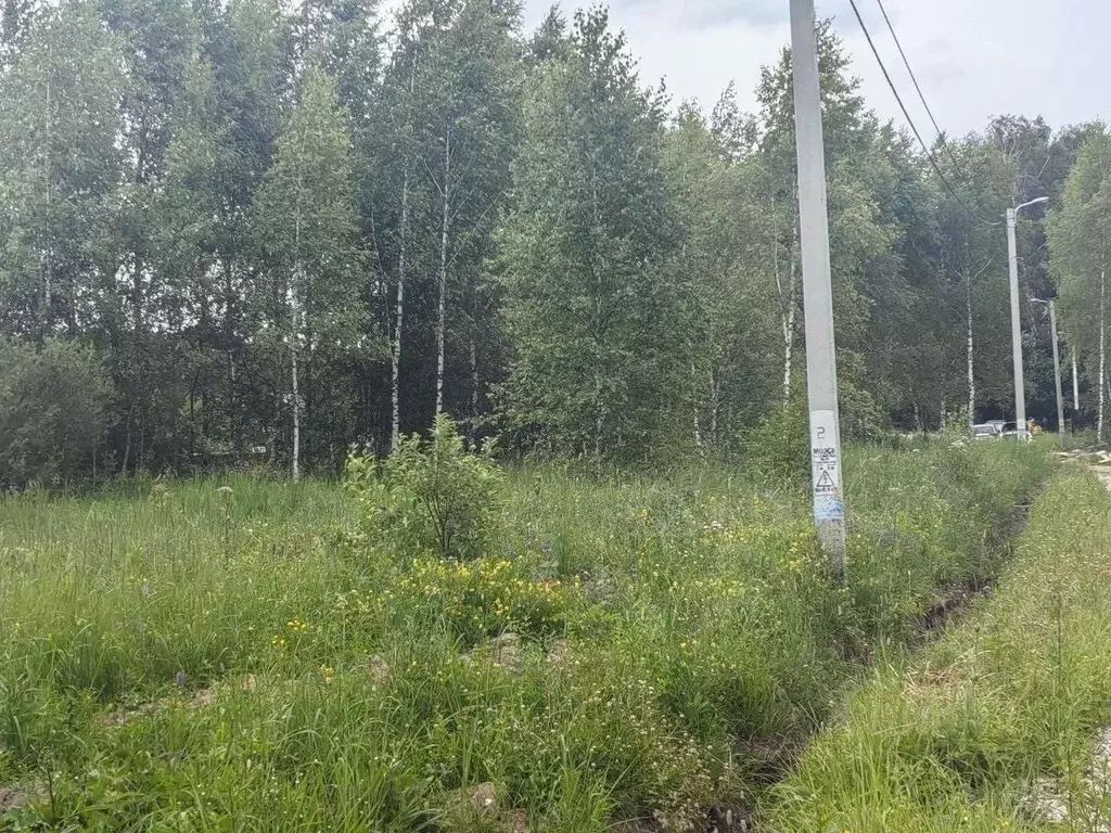 Участок в Московская область, Домодедово городской округ, с. Добрыниха ... - Фото 2