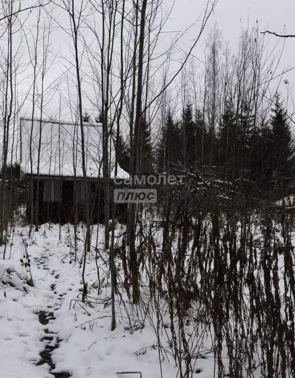 Участок в Ленинградская область, Тосненское городское поселение, Рубеж ... - Фото 1