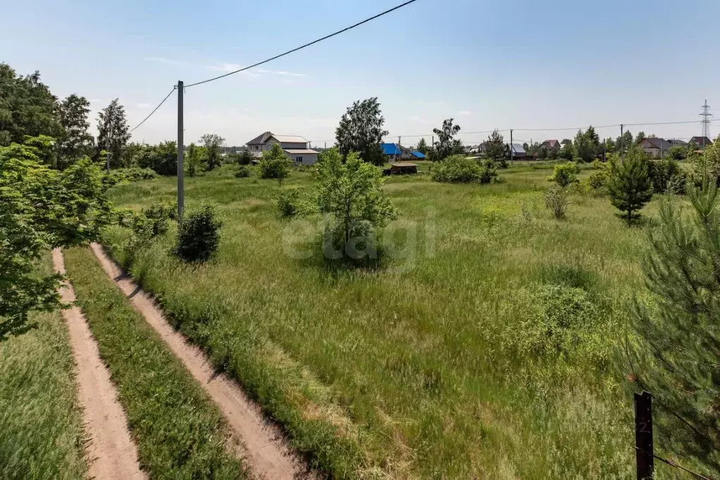 Участок в Алтайский край, Первомайский район, с. Санниково, Овощевод ... - Фото 1