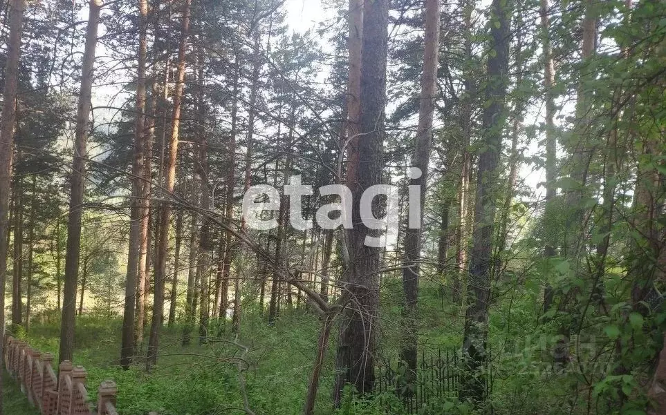 Участок в Красноярский край, Красноярск Южное ДНП,  (8.0 сот.) - Фото 1