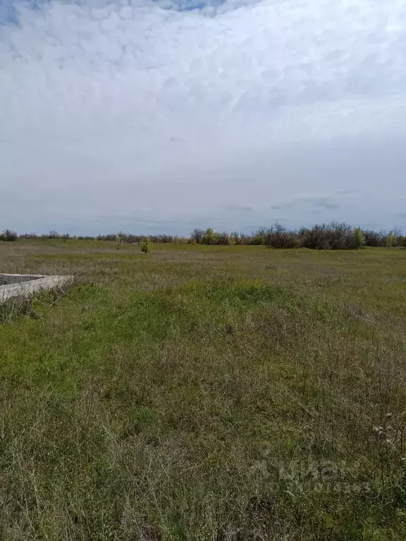 Участок в Ростовская область, Волгодонской район, Романовская ст-ца  ... - Фото 2