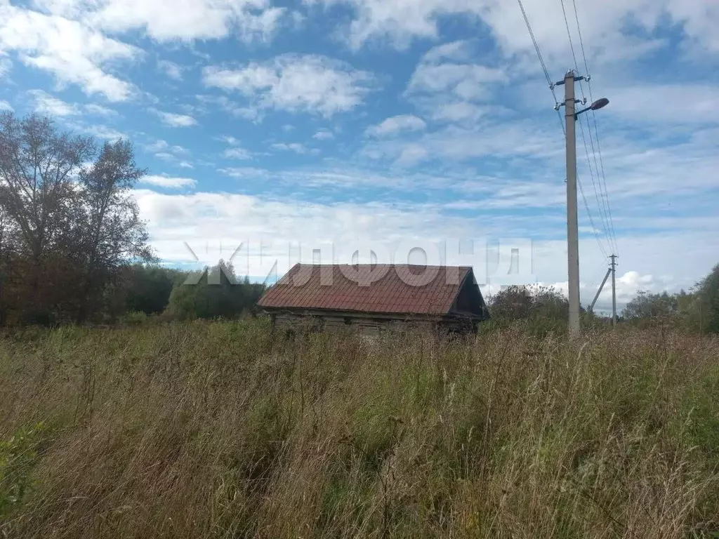 Дом в Новосибирская область, Колыванский район, с. Боярка ул. ... - Фото 1