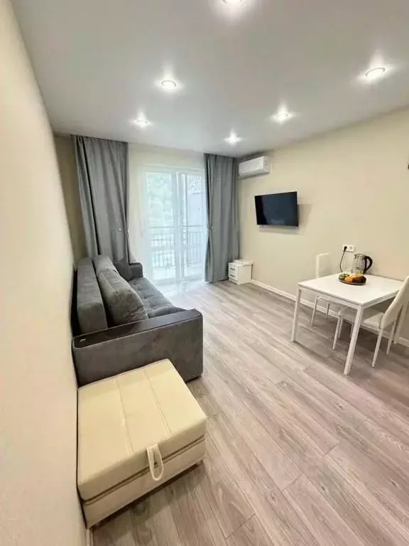 1-к кв. Краснодарский край, Сочи ул. Искры, 88к3 (30.0 м) - Фото 0