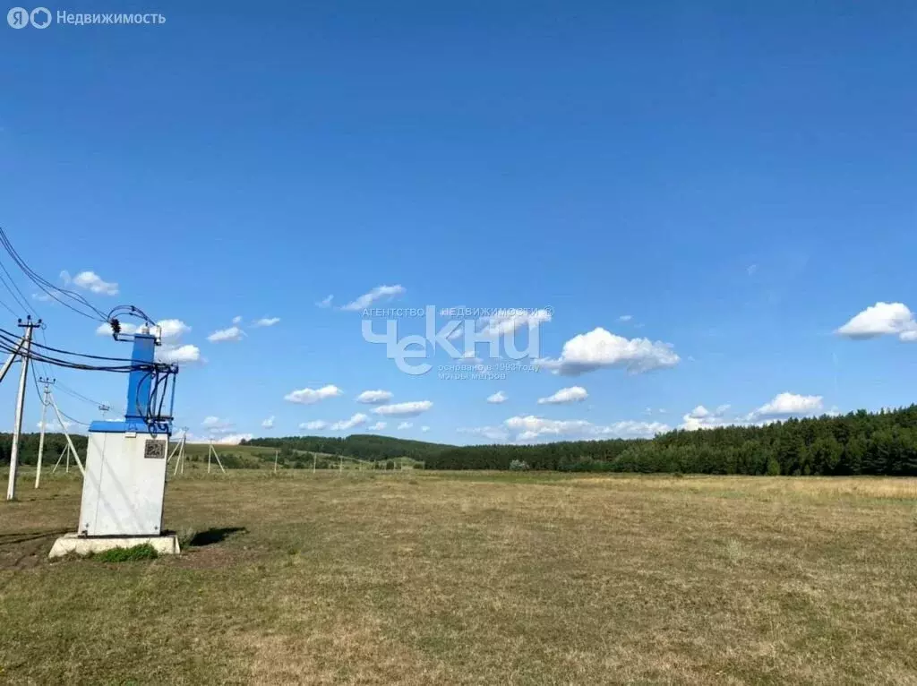 Участок в Нижегородская область, Дальнеконстантиновский муниципальный ... - Фото 2