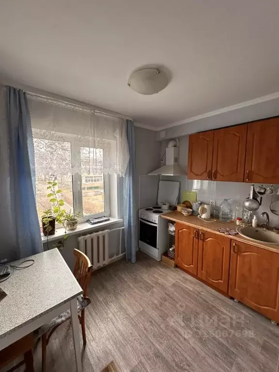 2-к кв. Алтайский край, Барнаул ул. Георгиева, 11А (38.0 м) - Фото 0