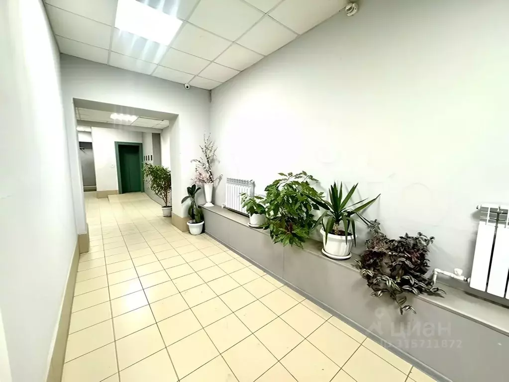 1-к кв. Саратовская область, Саратов Советская ул., 51б (80.0 м) - Фото 1