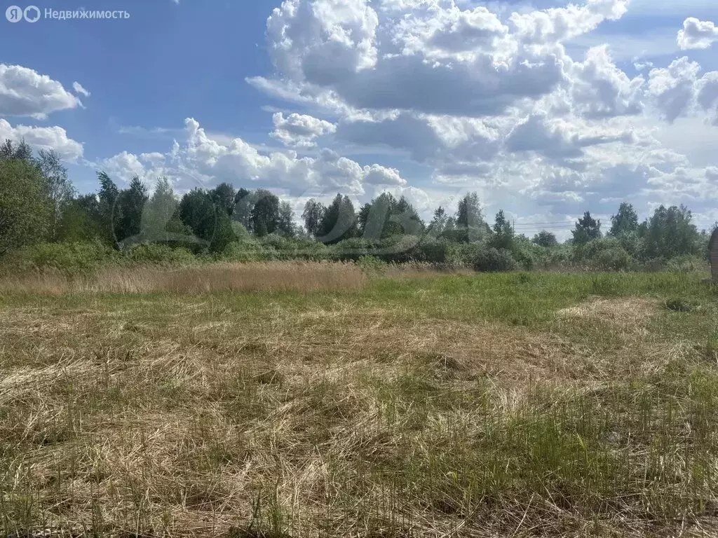 Участок в Тюмень, ТСН Матрёшка (15 м) - Фото 2