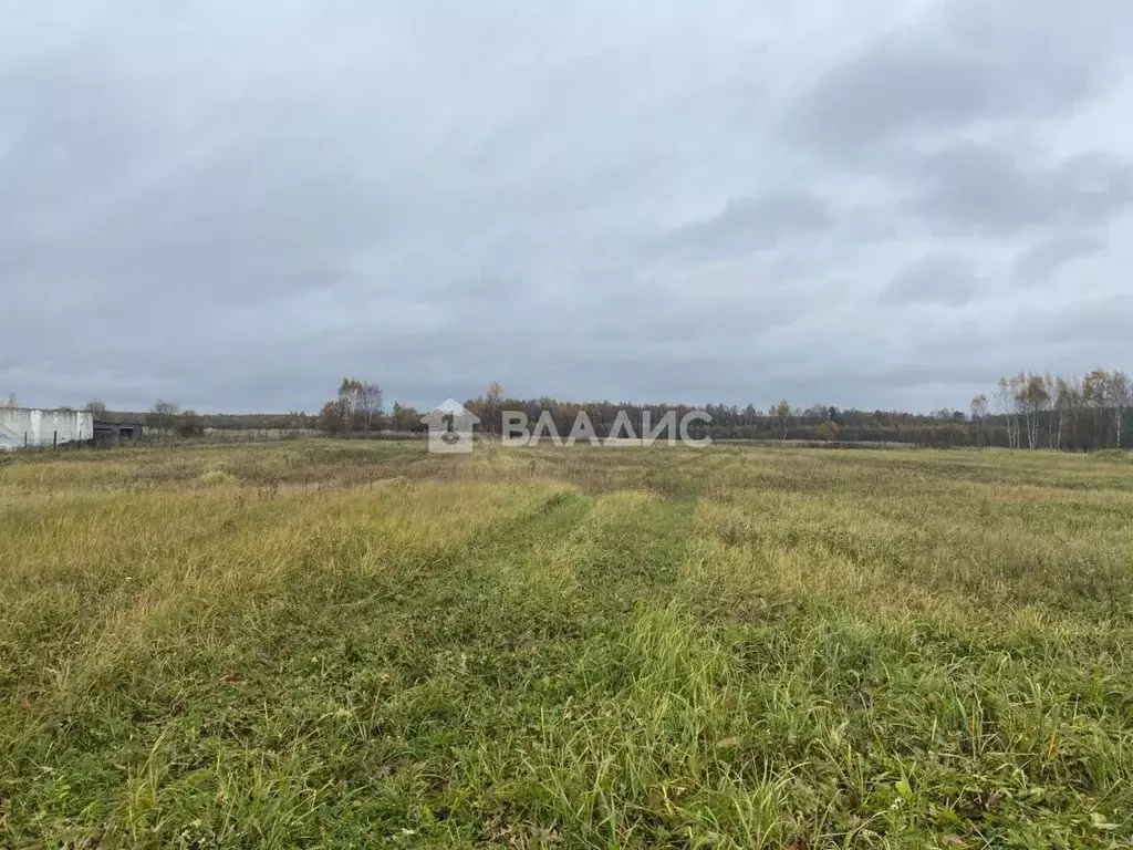 Участок в Калужская область, Малоярославецкий муниципальный округ, ... - Фото 2