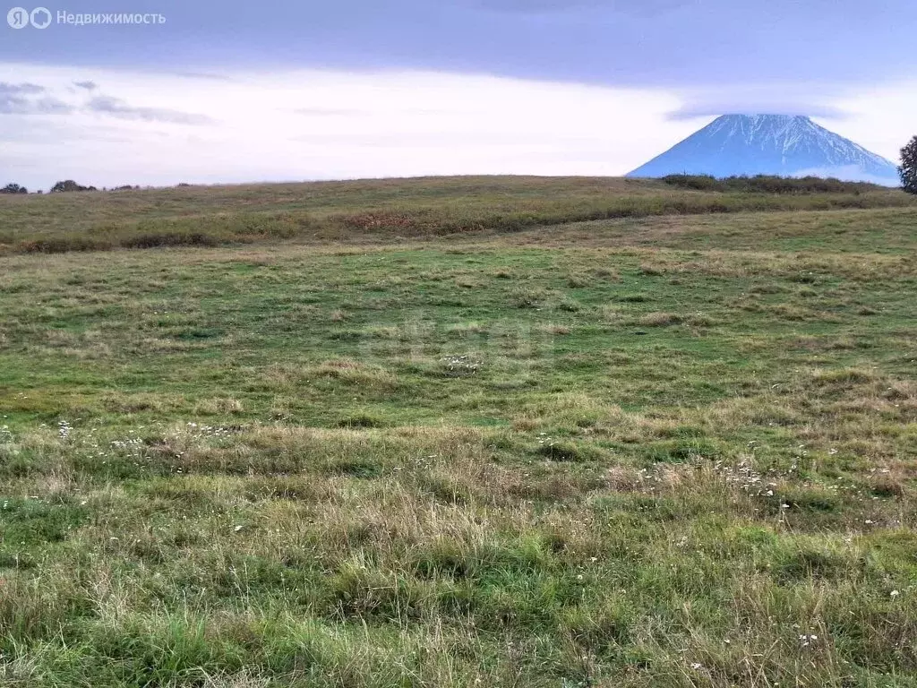 Участок в Камчатский край, Елизовский муниципальный округ, посёлок ... - Фото 0