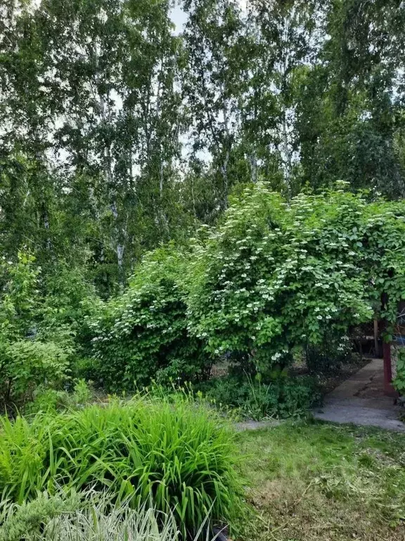 Дом в Омская область, Омск СОСН Нефтехимик тер.,  (60 м) - Фото 1