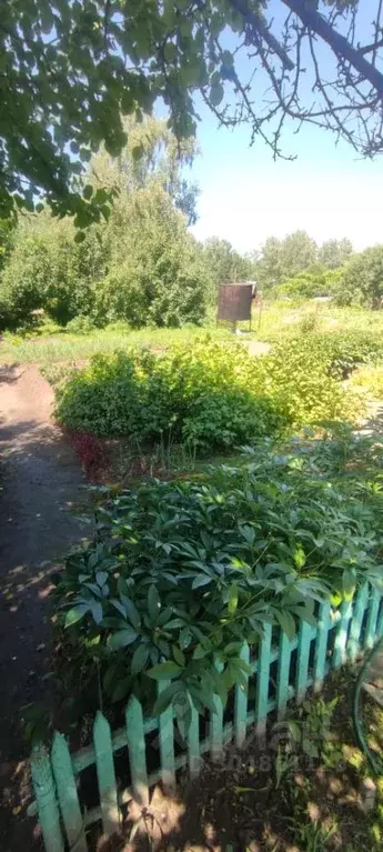 Дом в Алтайский край, Первомайский район, Котельщики садовые участки  ... - Фото 1