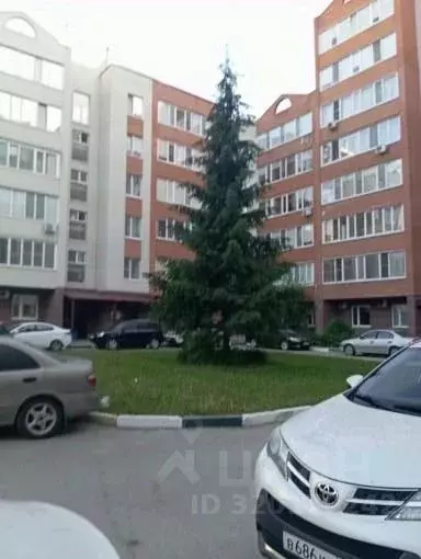 3-к кв. Ульяновская область, Ульяновск ул. Робеспьера, 114 (107.5 м) - Фото 1