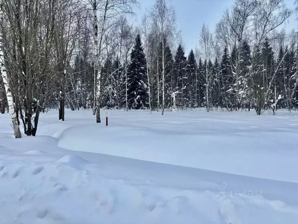 Участок в Московская область, Домодедово городской округ, д. Голубино, ... - Фото 2