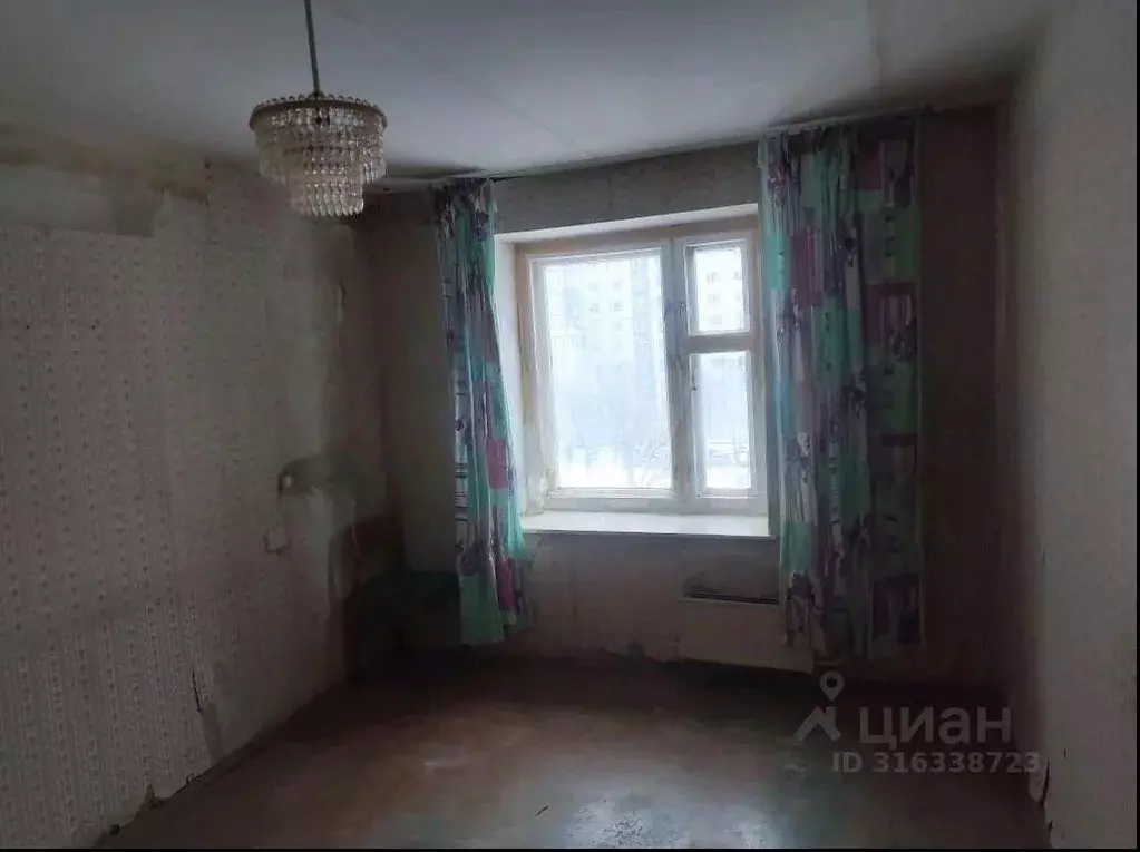 1-к кв. Владимирская область, Владимир ул. Нижняя Дуброва, 46б (27.7 ... - Фото 1