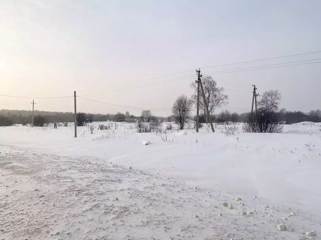 Участок в Ярославская область, Даниловский муниципальный округ, д. ... - Фото 1