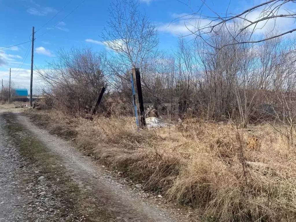 Участок в Иркутская область, Усольский район, Большееланское ... - Фото 2