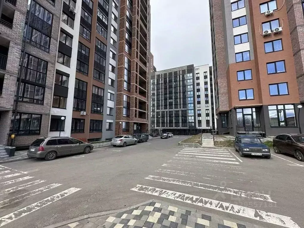 3-к кв. Воронежская область, Воронеж Острогожская ул., 156/3 (65.78 м) - Фото 2