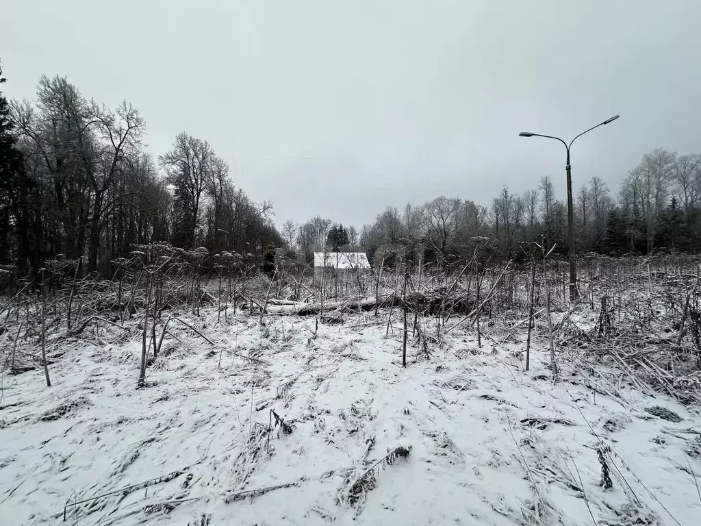 Участок в Москва № 307 кв-л, 1 (280.0 сот.) - Фото 2