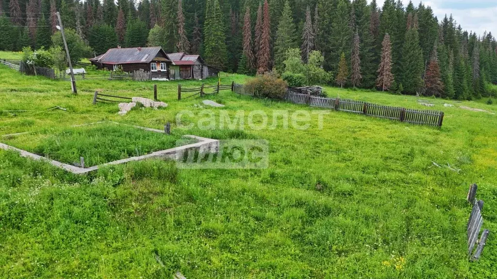 Участок в Челябинская область, Нязепетровск ул. Тимирязева (12.0 сот.) - Фото 1