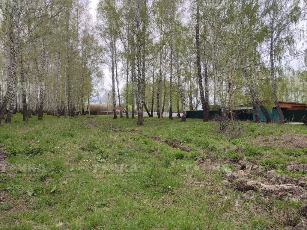Участок в Челябинская область, Чебаркульский муниципальный округ, с. ... - Фото 2
