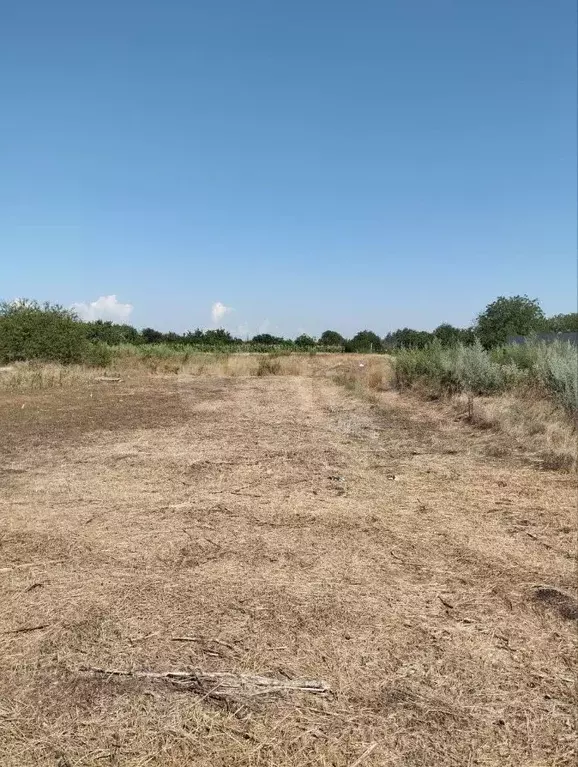 Участок в Ростовская область, Аксайский район, Ольгинская ст-ца ул. ... - Фото 1