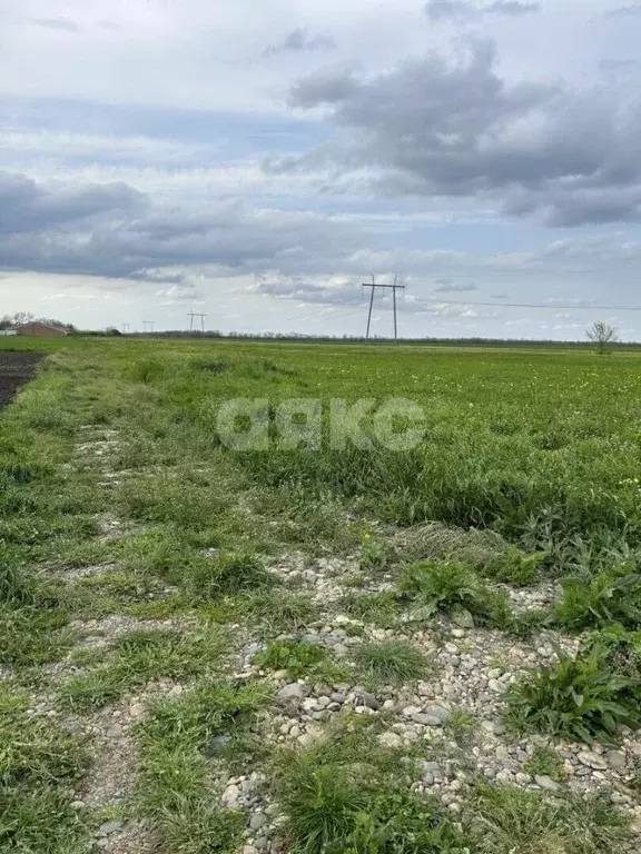 Участок в Краснодарский край, Новокубанский район, Верхнекубанское ... - Фото 2